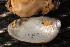  ( - LsubPas002)  @11 [ ] CreativeCommons - Attribution Non-Commercial No Derivatives (2014) Nathan A. Johnson USGS