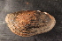  ( - LsubPas002)  @11 [ ] CreativeCommons - Attribution Non-Commercial No Derivatives (2014) Nathan A. Johnson USGS