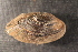  ( - LsubPas004)  @11 [ ] CreativeCommons - Attribution Non-Commercial No Derivatives (2014) Nathan A. Johnson USGS
