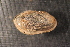  ( - LsubPas005)  @11 [ ] CreativeCommons - Attribution Non-Commercial No Derivatives (2014) Nathan A. Johnson USGS
