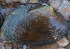  ( - QmitGua007)  @11 [ ] CreativeCommons - Attribution Non-Commercial No Derivatives (2014) Nathan A. Johnson USGS