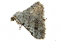  ( - BIOUG13574-C06)  @11 [ ] CreativeCommons - Attribution (2015) CBG Photography Group Centre for Biodiversity Genomics