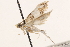  ( - BIOUG26825-G12)  @12 [ ] CreativeCommons - Attribution (2016) CBG Photography Group Centre for Biodiversity Genomics