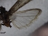  ( - CCDB-39044 C08)  @11 [ ] Creative Commons Non-Commercial  Share-alike (2012) Bold Photography Group Centre for Biodiversity Genomics