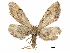  ( - CCDB-24015 H03)  @11 [ ] CreativeCommons - Attribution (2017) CBG Photography Group Centre for Biodiversity Genomics