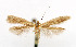  ( - CNCLEP00019856)  @11 [ ] CreativeCommons - Attribution Non-Commercial Share-Alike (2007) Unspecified Canadian National Collection