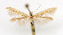  ( - CNCLEP00031133)  @11 [ ] CreativeCommons - Attribution Non-Commercial Share-Alike (2007) Unspecified Canadian National Collection