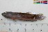  ( - OL-0011)  @11 [ ] CreativeCommons - Attribution (2010) Unspecified Centre for Biodiversity Genomics