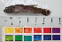  ( - OL-0012)  @11 [ ] CreativeCommons - Attribution (2010) Unspecified Centre for Biodiversity Genomics