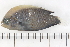  ( - HLC-13178)  @13 [ ] CreativeCommons - Attribution (2013) CBG Photography Group Centre for Biodiversity Genomics