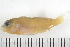  ( - HLC-13278)  @12 [ ] CreativeCommons - Attribution (2013) CBG Photography Group Centre for Biodiversity Genomics