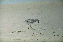  ( - JGS PESA-001)  @13 [ ] Unspecified (default): All Rights Reserved  Unspecified Unspecified