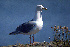  ( - 1B-3005)  @13 [ ] Unspecified (default): All Rights Reserved  Unspecified Unspecified