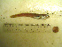  ( - 04HBL008014)  @14 [ ] CreativeCommons - Attribution (2007) Unspecified Centre for Biodiversity Genomics