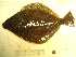  ( - 04HBL008036)  @13 [ ] CreativeCommons - Attribution (2007) Unspecified Centre for Biodiversity Genomics