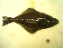  ( - 04HBL008068)  @13 [ ] CreativeCommons - Attribution (2007) Unspecified Centre for Biodiversity Genomics
