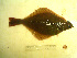  ( - 04HBL008087)  @14 [ ] CreativeCommons - Attribution (2007) Unspecified Centre for Biodiversity Genomics