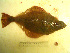  ( - 04HBL008088)  @13 [ ] CreativeCommons - Attribution (2007) Unspecified Centre for Biodiversity Genomics