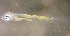  ( - CCDB-13979_E04)  @14 [ ] Copyright (2013) Allan D. Connell Unspecified