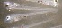  (Emmelichthys struhsakeri - CCDB-13981_B01)  @14 [ ] Copyright (2013) Allan D. Connell Unspecified