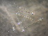  ( - CCDB-13981_B09)  @12 [ ] Copyright (2013) Allan D. Connell Unspecified