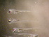  ( - CCDB-13981_C05)  @14 [ ] Copyright (2013) Allan D. Connell Unspecified