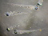  ( - CCDB-13981_D01)  @14 [ ] Copyright (2013) Allan D. Connell Unspecified