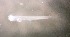  ( - CCDB-13981_D12)  @13 [ ] Copyright (2013) Allan D. Connell Unspecified