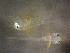  ( - CCDB-13981_E06)  @11 [ ] Copyright (2013) Allan D. Connell Unspecified