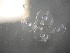  ( - CCDB-13981_E10)  @12 [ ] Copyright (2013) Allan D. Connell Unspecified