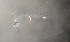  ( - CCDB-13981_E10)  @12 [ ] Copyright (2013) Allan D. Connell Unspecified