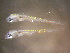  ( - CCDB-13981_G10)  @14 [ ] Copyright (2013) Allan D. Connell Unspecified