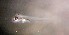 ( - CCDB-13981_H02)  @11 [ ] Copyright (2013) Allan D. Connell Unspecified