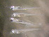  ( - CCDB-13981_H04)  @14 [ ] Copyright (2013) Allan D. Connell Unspecified
