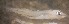  ( - CCDB-17645_D05)  @14 [ ] Copyright (2013) Allan D. Connell Unspecified