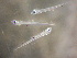  ( - CCDB-17645_E08)  @13 [ ] Copyright (2013) Allan D. Connell Unspecified