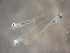  ( - CCDB-17645_G06)  @13 [ ] Copyright (2013) Allan D. Connell Unspecified
