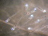  ( - CCDB-17645_H09)  @13 [ ] Copyright (2013) Allan D. Connell Unspecified