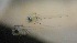  ( - CCDB-17646_E01)  @13 [ ] Copyright (2013) Allan D. Connell Unspecified
