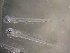  ( - CCDB-17646_F10)  @13 [ ] Copyright (2013) Allan D. Connell Unspecified