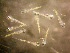  ( - CCDB-19034_B06)  @12 [ ] Copyright (2013) Allan D. Connell Unspecified