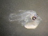  ( - CCDB-19034_B09)  @11 [ ] Copyright (2013) Allan D. Connell Unspecified