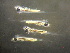  ( - CCDB-19034_F05)  @13 [ ] Copyright (2013) Allan D. Connell Unspecified