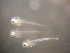  ( - CCDB-19035_C11)  @13 [ ] Copyright (2013) Allan D. Connell Unspecified