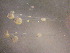  ( - CCDB-19035_C12)  @13 [ ] Copyright (2013) Allan D. Connell Unspecified