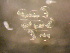  ( - CCDB-19035_C12)  @13 [ ] Copyright (2013) Allan D. Connell Unspecified