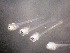  ( - CCDB-19035_D03)  @14 [ ] Copyright (2013) Allan D. Connell Unspecified