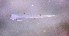  ( - CCDB-19035_D12)  @12 [ ] Copyright (2013) Allan D. Connell Unspecified