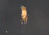  ( - BIOUG15124-C01)  @11 [ ] CreativeCommons - Attribution (2015) CBG Photography Group Centre for Biodiversity Genomics