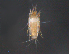  ( - BIOUG15124-D07)  @11 [ ] CreativeCommons - Attribution (2015) CBG Photography Group Centre for Biodiversity Genomics
